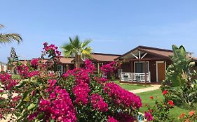 Sedir Park - Beach Kargıcak