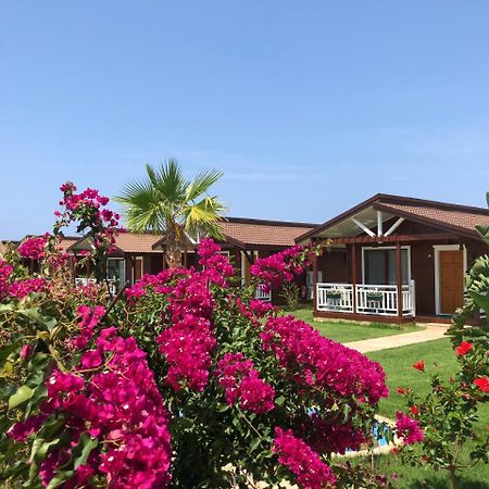 Sedir Park - Beach Bungalow Kargıcak Exterior foto