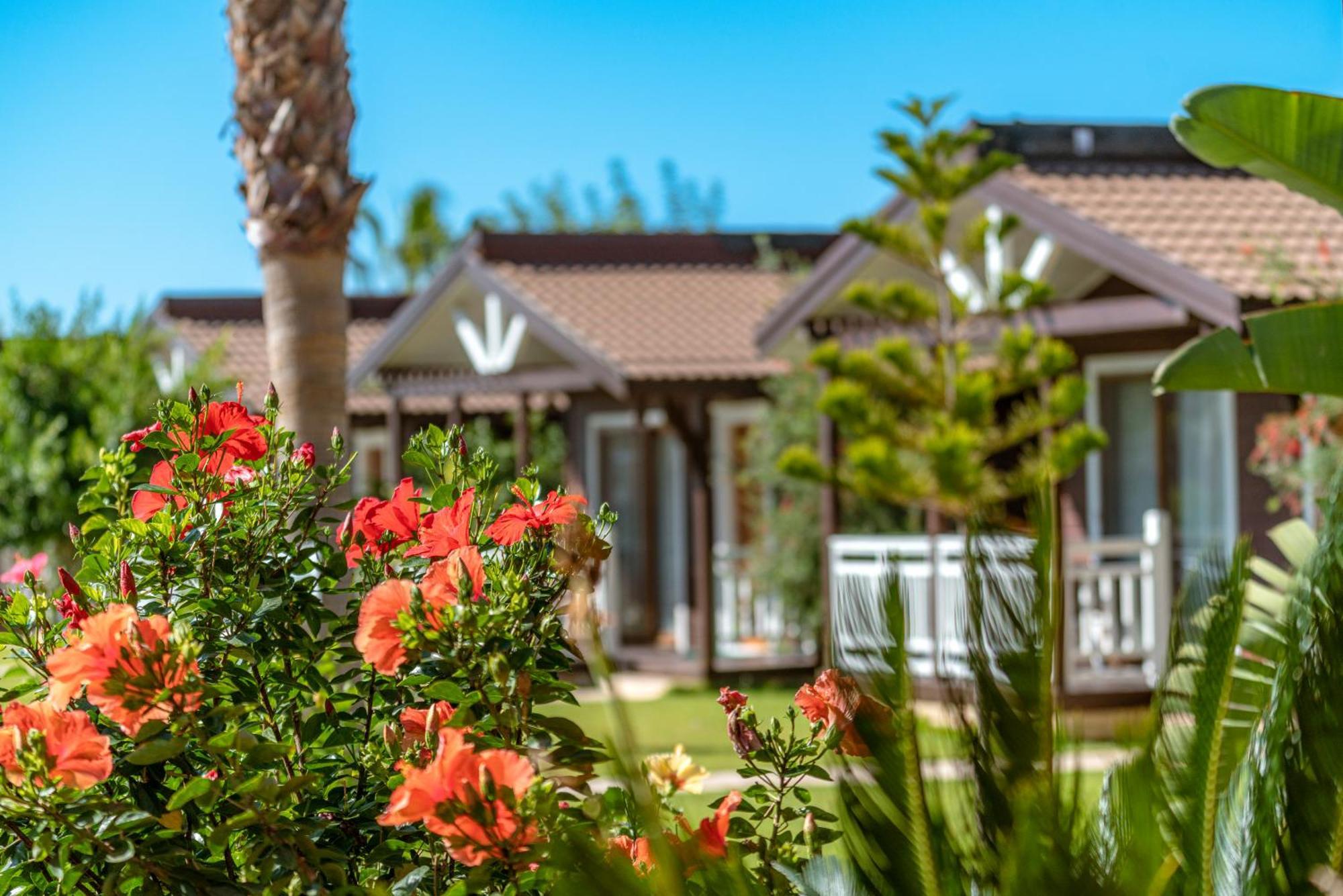 Sedir Park - Beach Bungalow Kargıcak Exterior foto