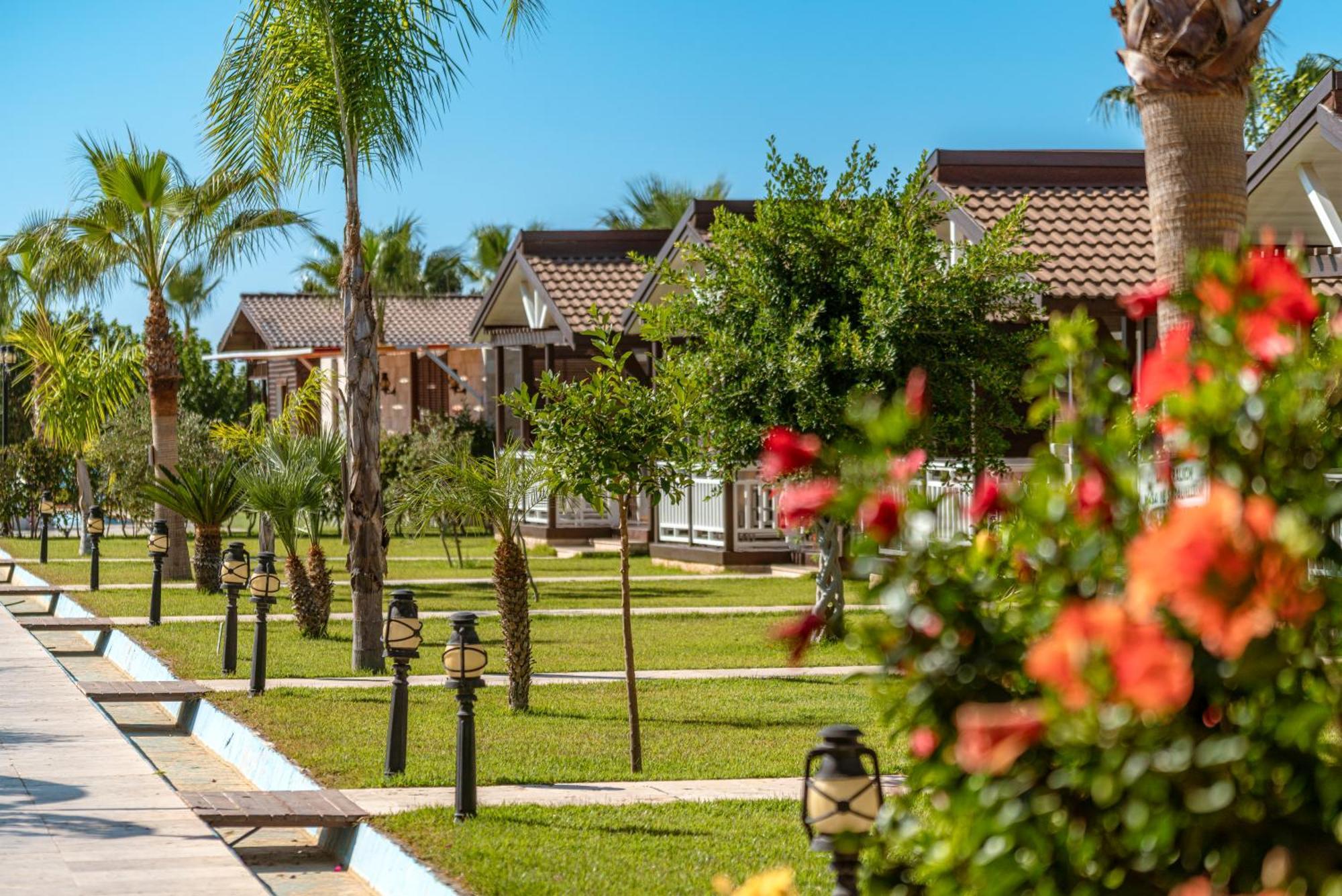 Sedir Park - Beach Bungalow Kargıcak Exterior foto