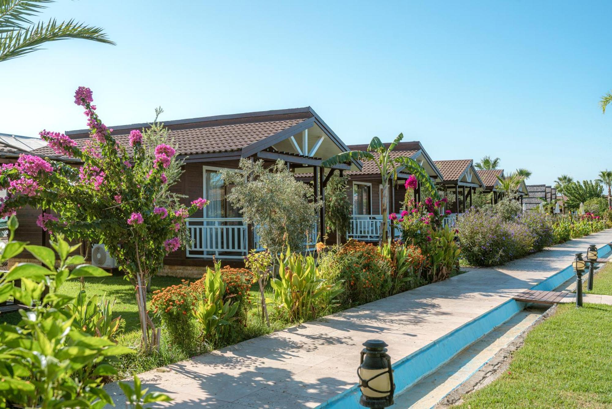 Sedir Park - Beach Bungalow Kargıcak Exterior foto